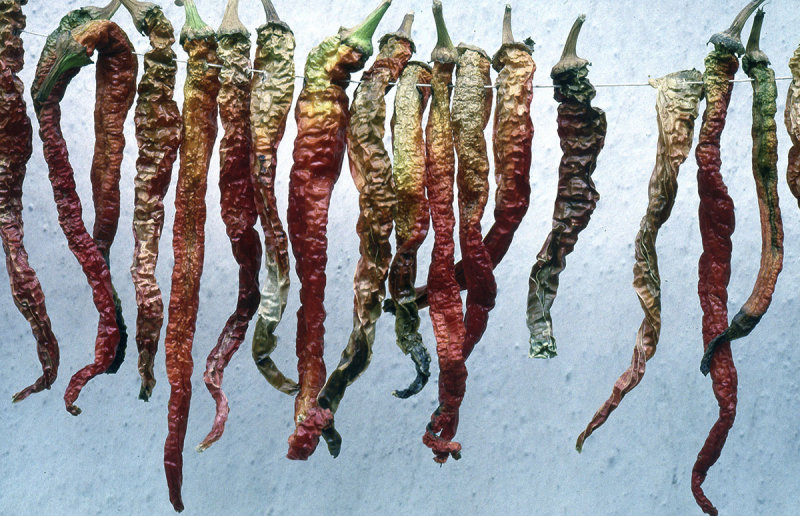 Amasya dried peppers