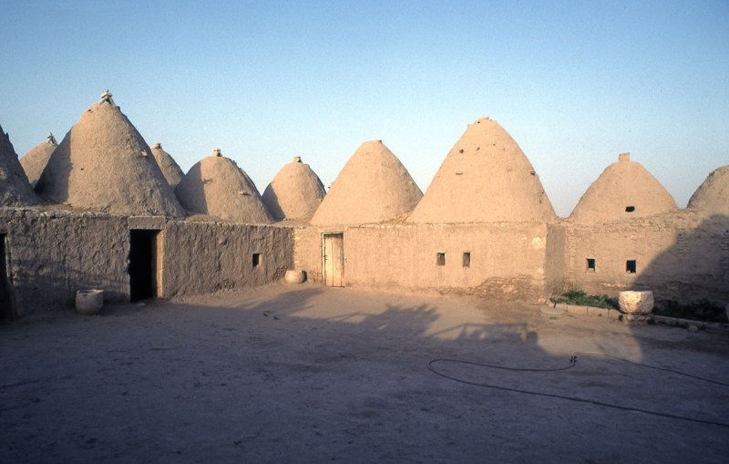 Harran ride 56