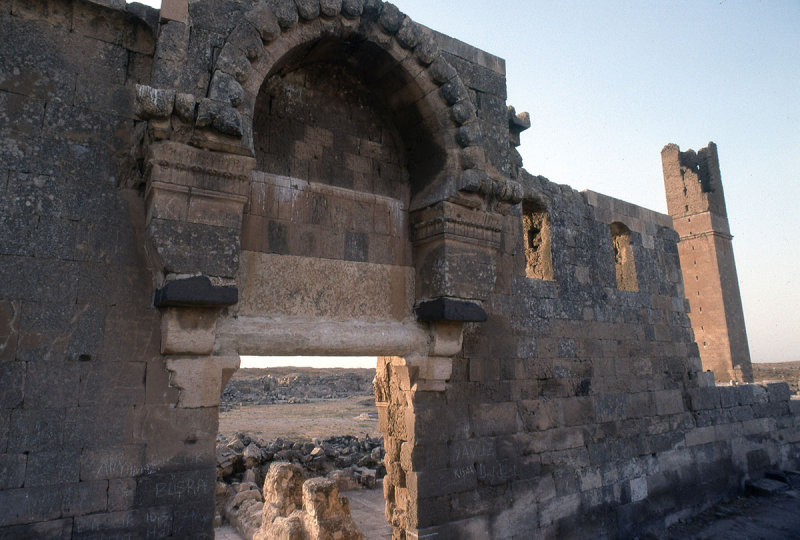Harran ride 59