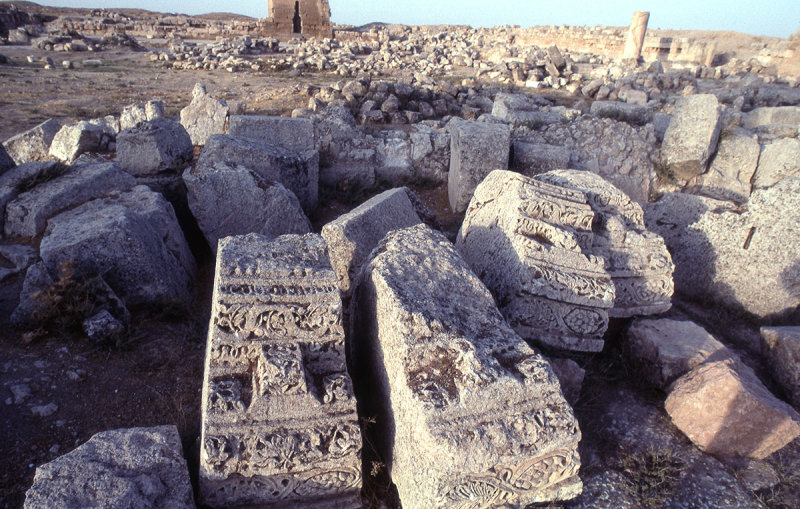Harran ride 61