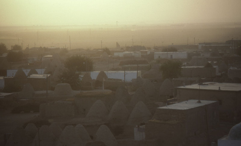 Harran ride 71