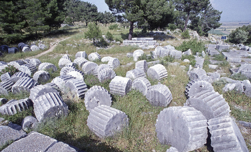 Priene toppled pillars