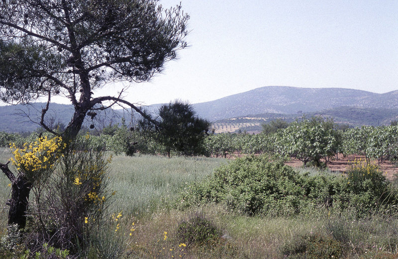 Selcuk countryside