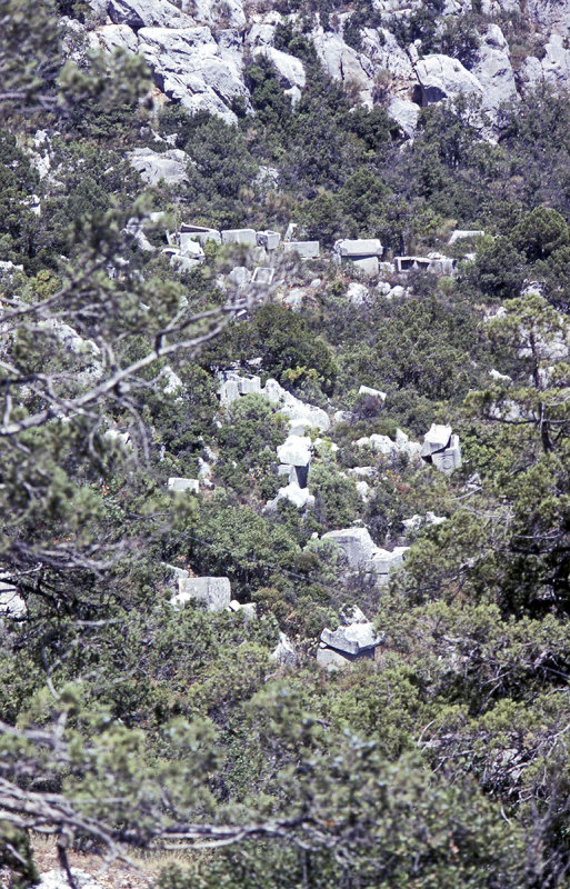 Termessos graves