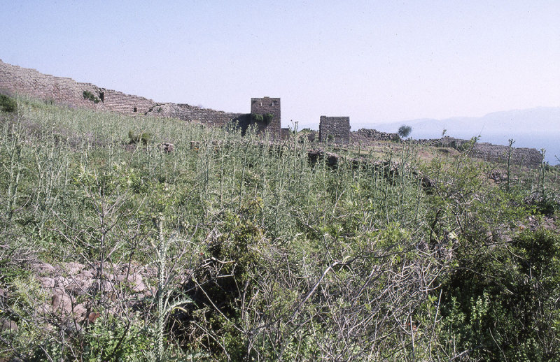 Assos 017