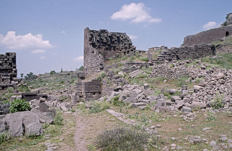Assos 021