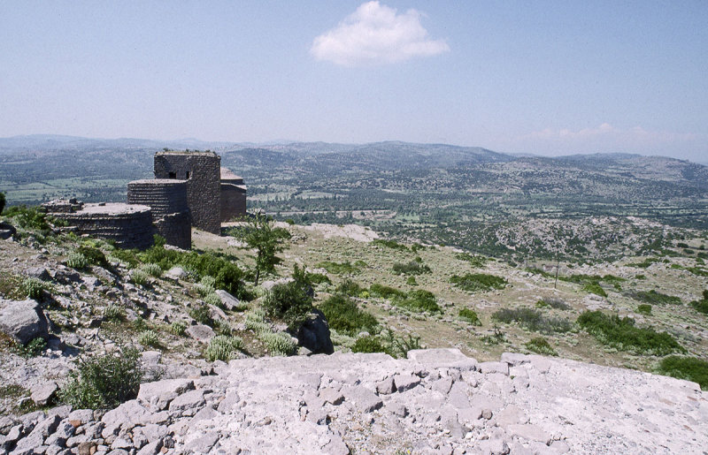 Assos 025