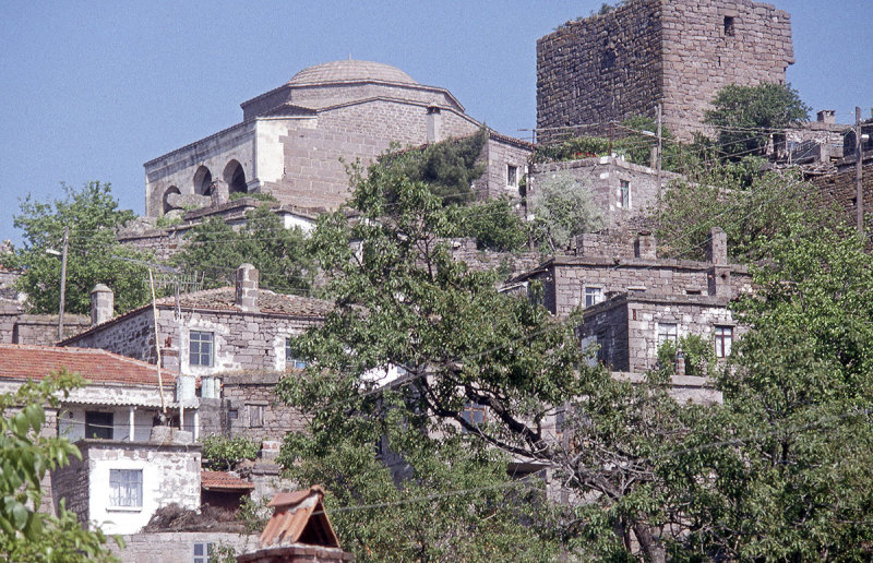 Assos 035