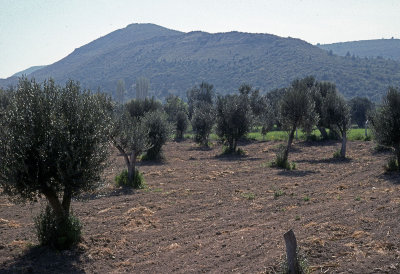 Canakkale Gallipoli Peninsula 088.jpg