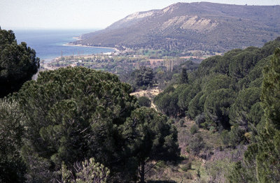 Canakkale Gallipoli Peninsula 093.jpg