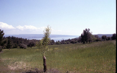 Canakkale Gallipoli Peninsula 125.jpg
