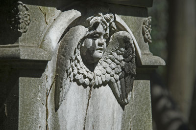 Istanbul Protestant Cemetery march 2017 3665.jpg