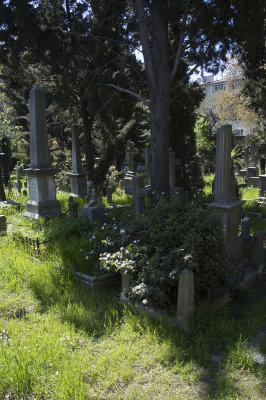 Istanbul Protestant Cemetery march 2017 3675.jpg