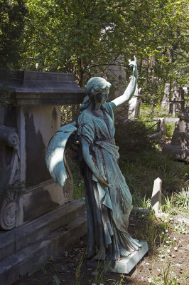 Istanbul Protestant Cemetery march 2017 3681.jpg