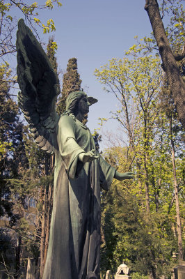 Istanbul Protestant Cemetery march 2017 3682.jpg