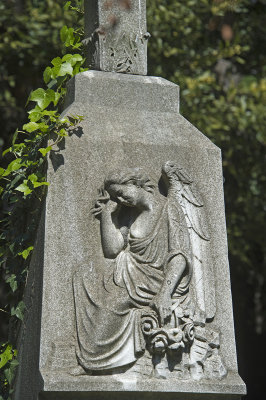 Istanbul Protestant Cemetery march 2017 3688.jpg
