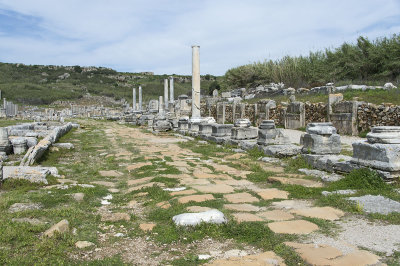 Perge Main Columned Street march 2018 5967.jpg