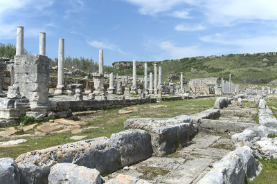 Perge Main Columned Street march 2018 5969.jpg