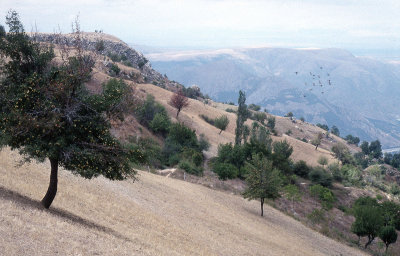 Amasya 1993 043.jpg