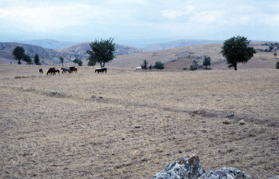 Amasya 1993 046.jpg