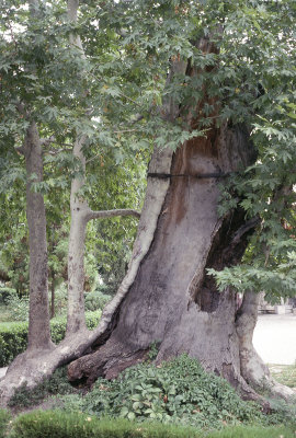 Amasya 1993 075.jpg