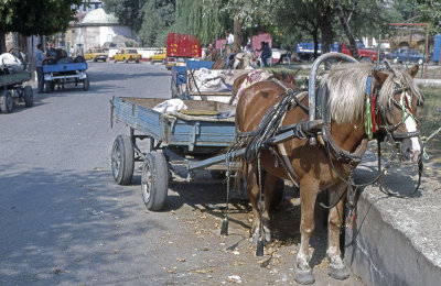 Edirne  010.jpg