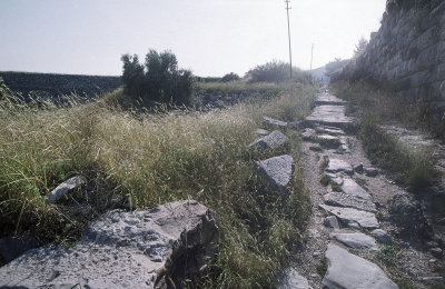 Priene 99 042.jpg