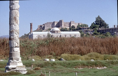 Selcuk Artemis temple 92 005.jpg