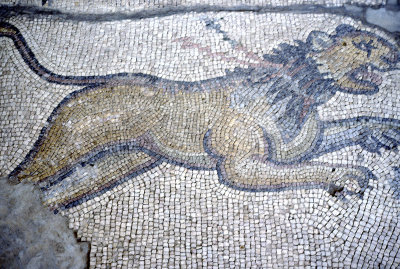 Urfa museum mosaic lion.jpg