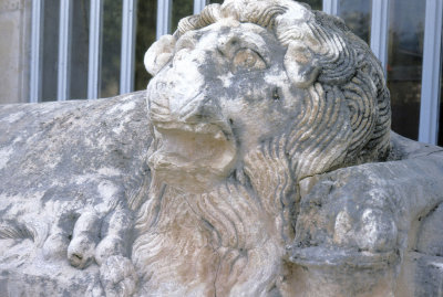 Silifke museum lion