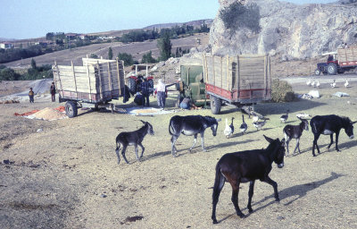 Village Bogazkale