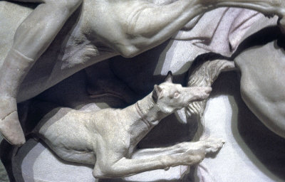 Alexander Sarcophagus detail of dog