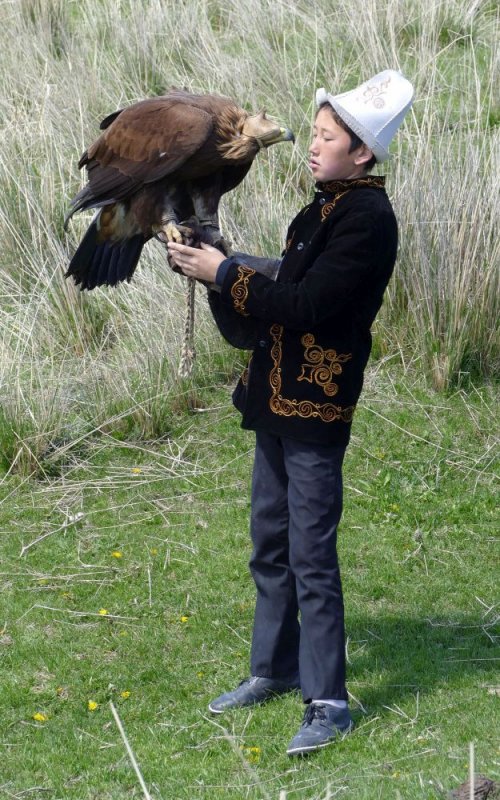 The young son of the eagle hunter