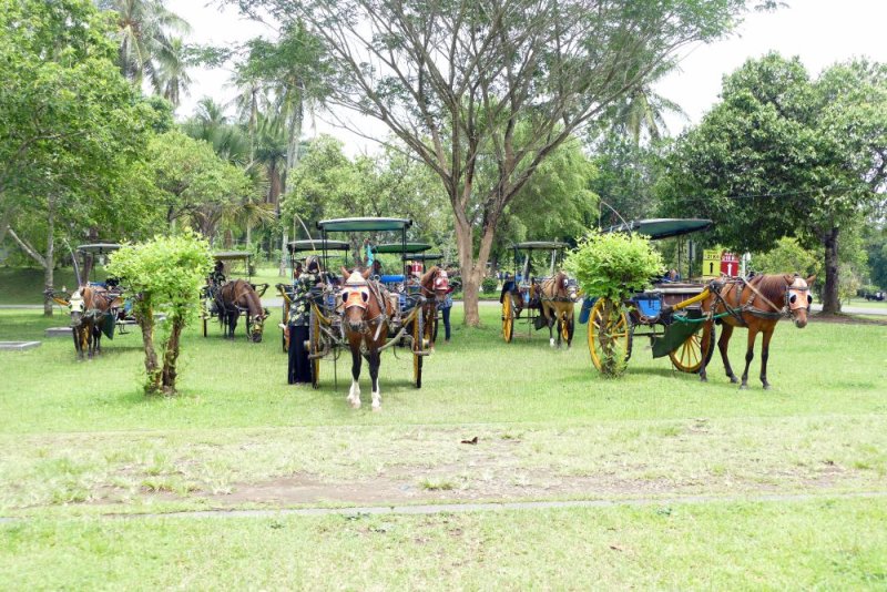 Horse-drawn carriages waiting to take us to visit a small nearby village
