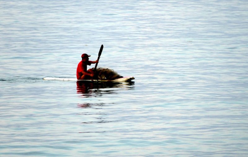 An early morning fisherman bringing in his catch