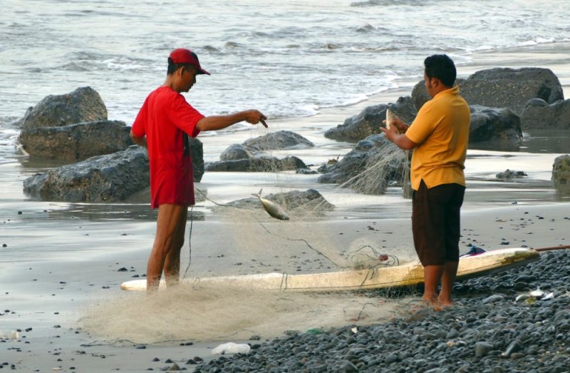 Sorting out the fish