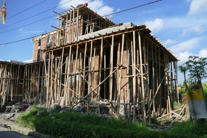 Bamboo used for scaffolding 