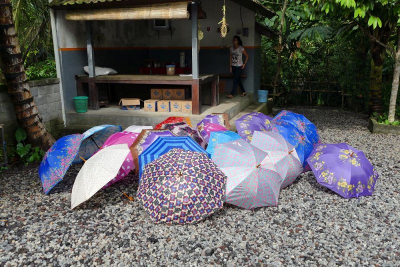 Ready for the rain at a coffee plantation