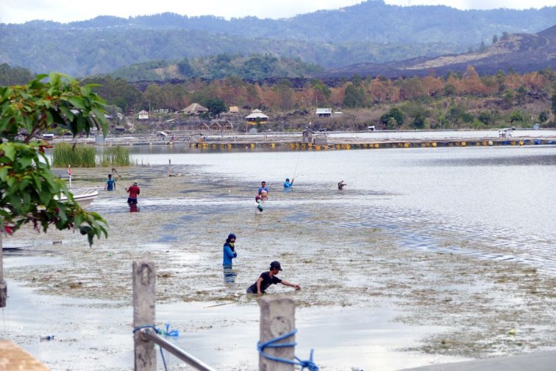 Local villagers looking for bait for fishing