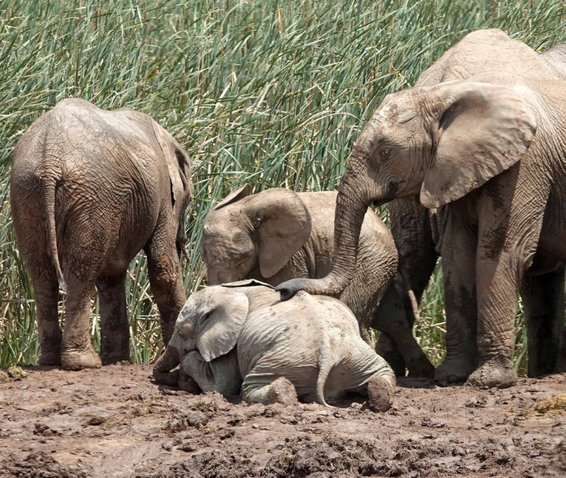 Taking care of baby