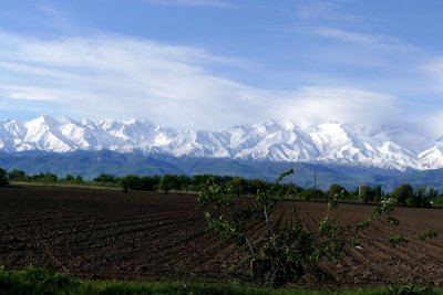 The Tien Shan mountain range, visible just about everywhere during the pre-trip