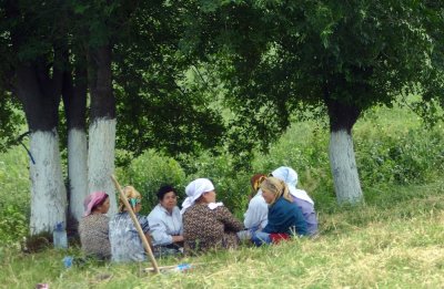 Field workers taking their lunch break in the shade