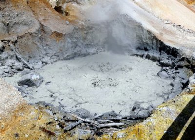 One of the many boiling hydrothermal mudpots in the Park