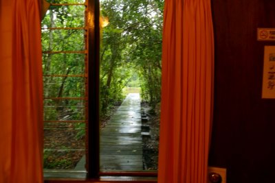 The view from my eco-lodge room towards the river