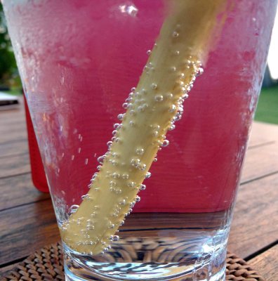 Air bubbles adhering to a bamboo straw