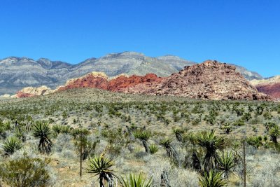 Red Rock Canyon Area