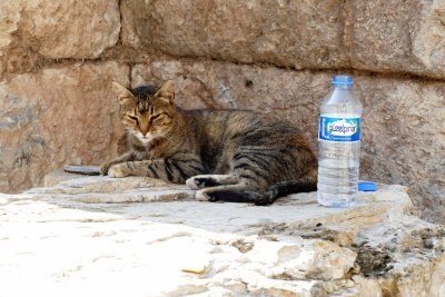  It was so hot I had to bring my own water