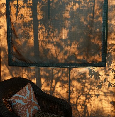 Shadows on the tent wall of my cabin