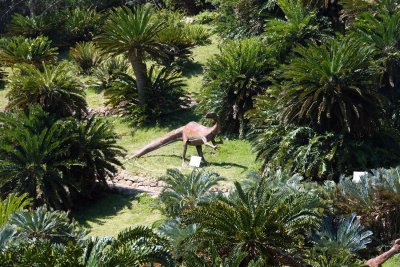 The Cycad portion of the Gardens contains Cycad species that are believed to have existed over 200 million years ago