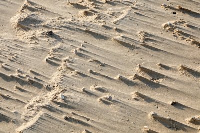 Wind-blown sand pods